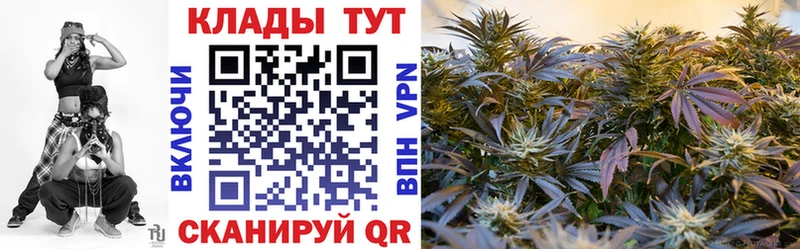 Где купить наркотики Фурманов Гашиш  МАРИХУАНА  Псилоцибиновые грибы  ГЕРОИН  Меф мяу мяу 