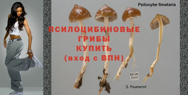 Альфа ПВП Алзамай