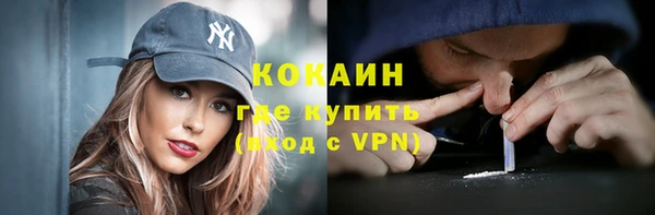 крисы Абаза
