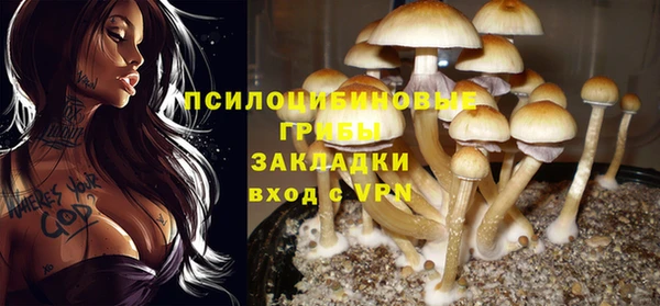 герыч Абдулино