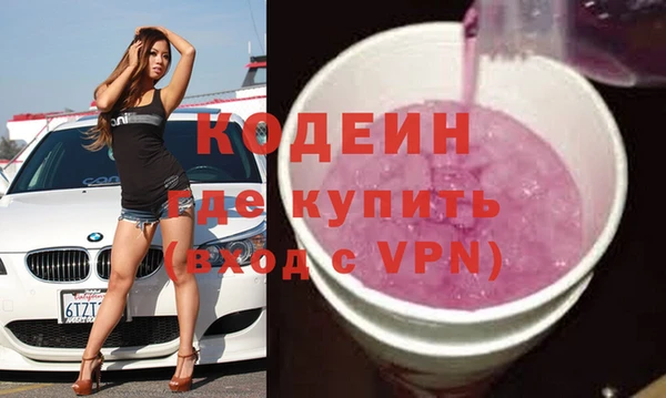 крисы Абаза