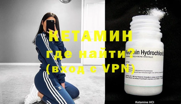 крисы Абаза