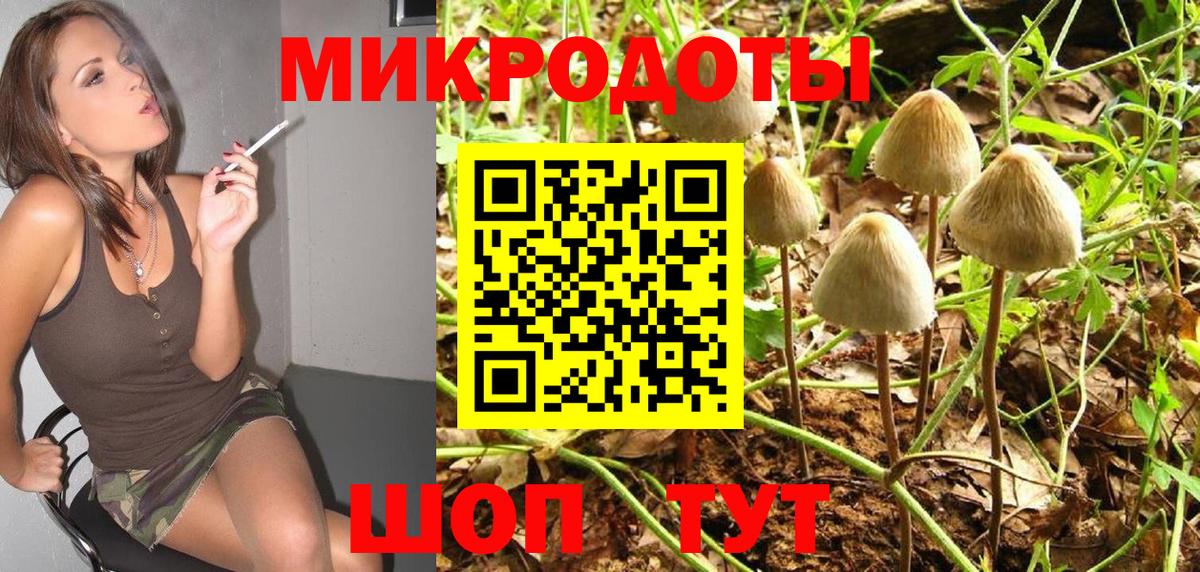 Галлюциногенные грибы мицелий Фурманов