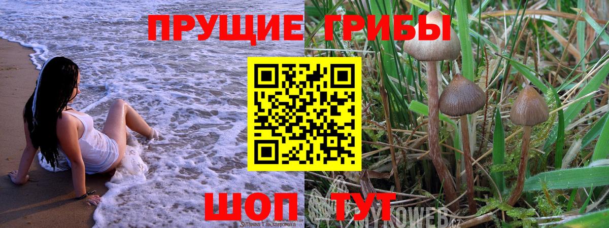 Галлюциногенные грибы GOLDEN TEACHER  где купить   Фурманов  Вход с VPN 