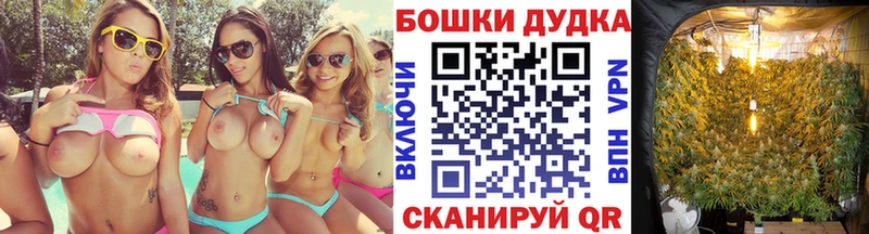 KRAKEN tor  Фурманов  мориарти как зайти  Канабис план 